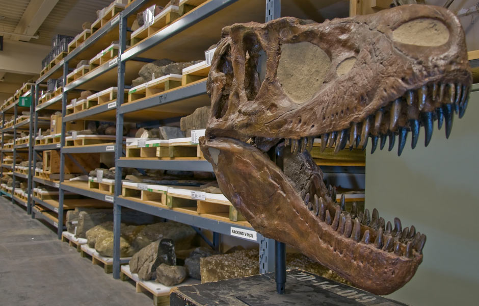 The Royal Tyrrell Museum of Palaeontology