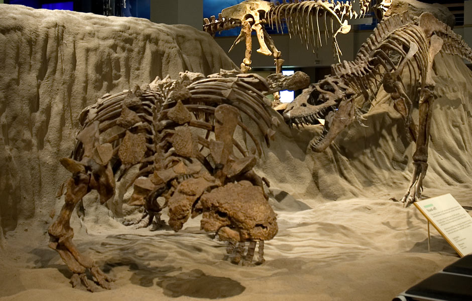 The Royal Tyrrell Museum of Palaeontology