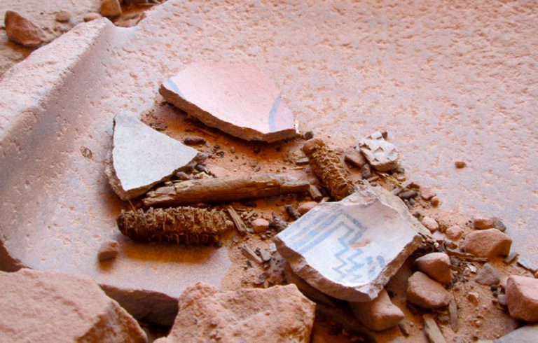 Peabody Museum Case Study