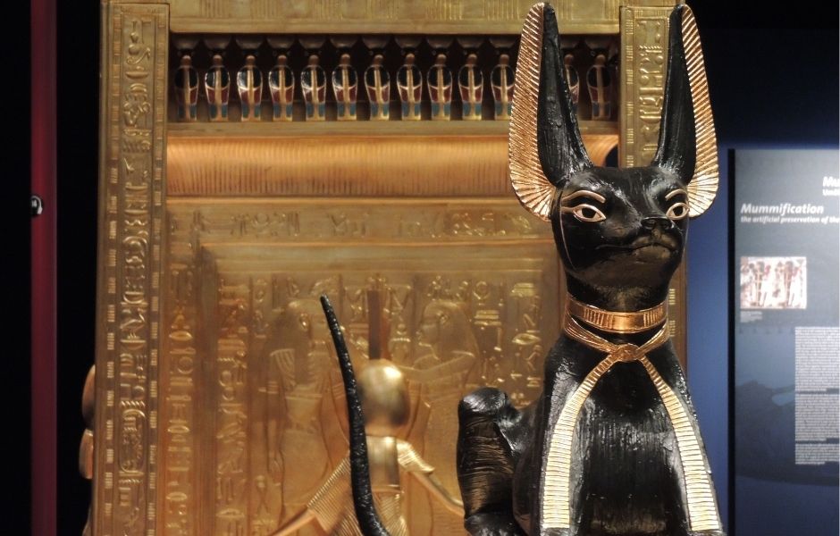 egyptian-artifact-exhibition-display.jpg