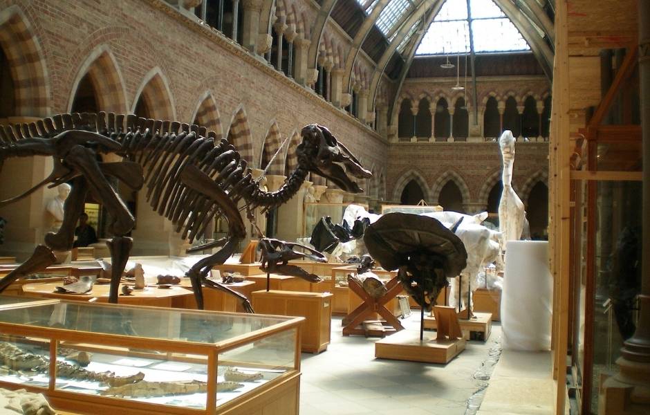 Fossil skeletons displayed in a natural history gallery representing the collections institutions manage with Gallery Systems