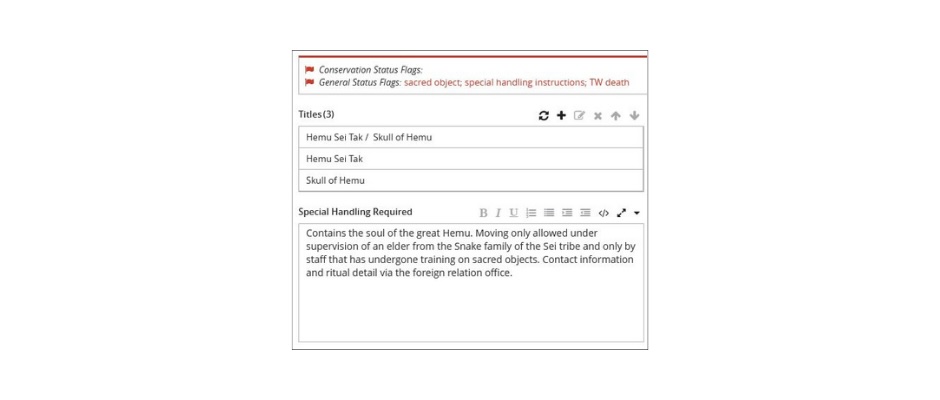 Example of a Status Flag noting “Special Handling Requirements” in TMS Collections.