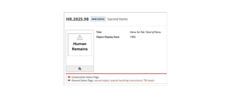 Example of what it would look like to replace sensitive visuals with “Restricted Image” placeholders.
