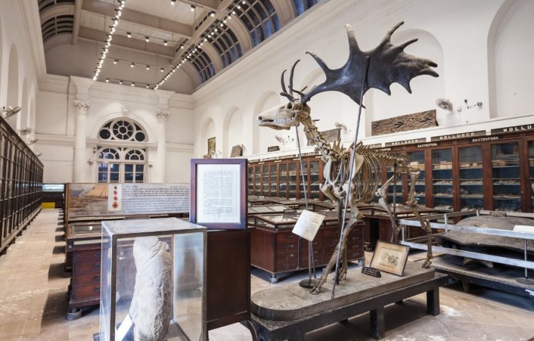 Make Museum Documentation More Inclusive with TMS Collections
