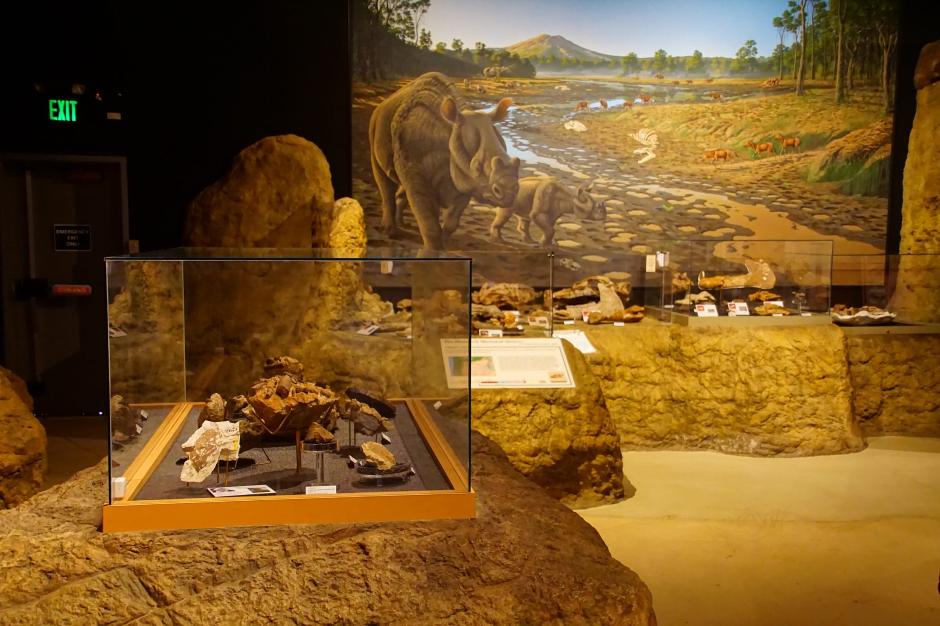 museum exhibition of landscape and animals.