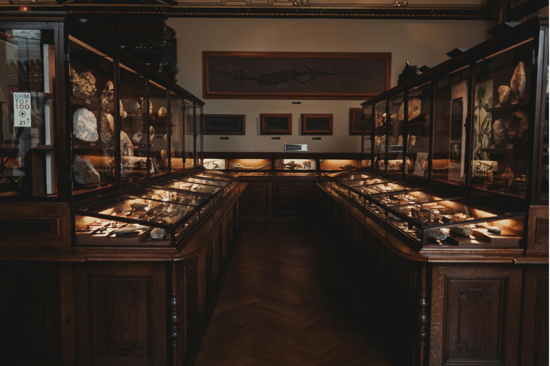 museum exhibition displaying rocks.