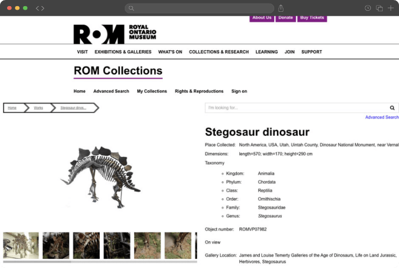 Royal Ontario Museum stegosaur object record displaying a custom taxonomy hierarchy in eMuseum