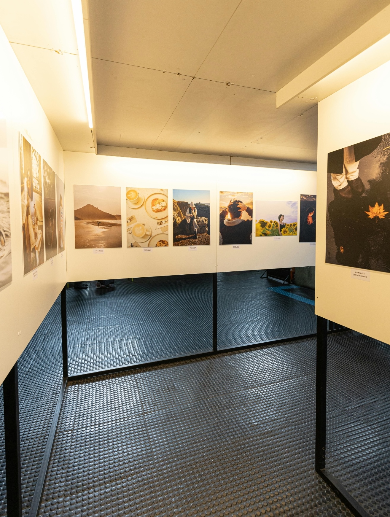 university display of part of their art collection.