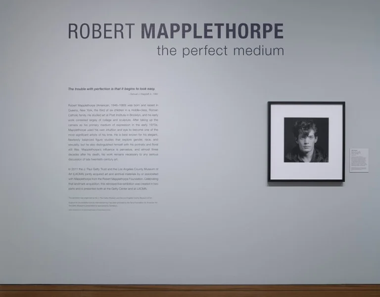 The J. Paul Getty Museum and Los Angeles County Museum of Art Case Study