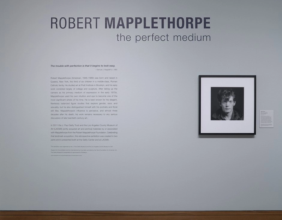 Museum exhibition wall panel and framed portrait photograph for the Robert Mapplethorpe: The Perfect Medium exhibit