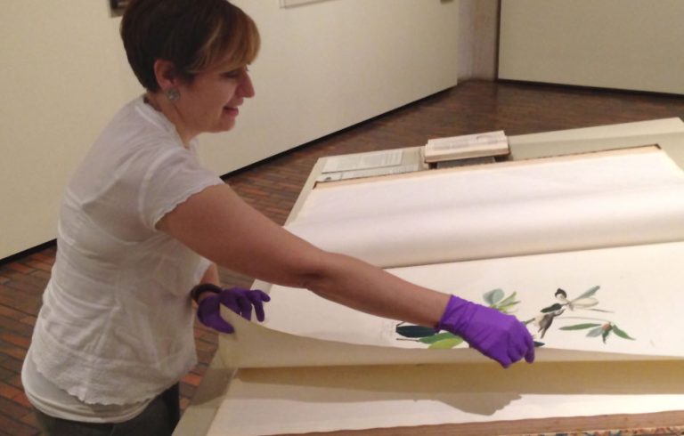 Stark Museum of Art Case Study