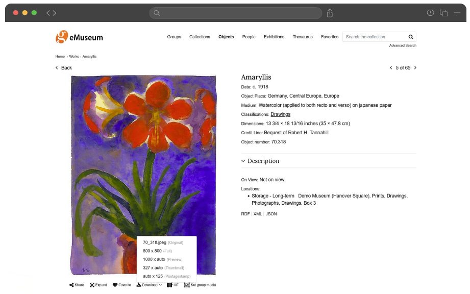 screenshot of eMuseum